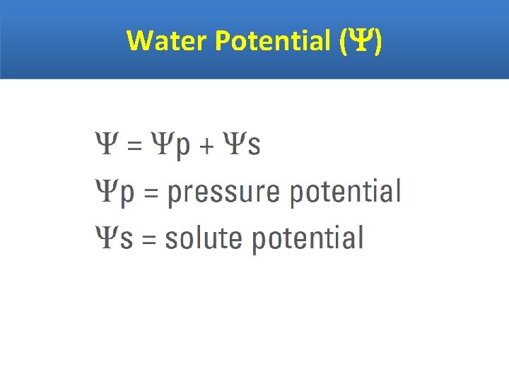 Water Potential ( ) 