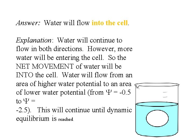 Answer: Water will flow into the cell. Explanation: Water will continue to flow in