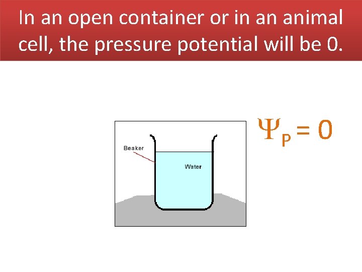 In an open container or in an animal cell, the pressure potential will be