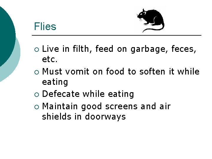 Flies Live in filth, feed on garbage, feces, etc. ¡ Must vomit on food