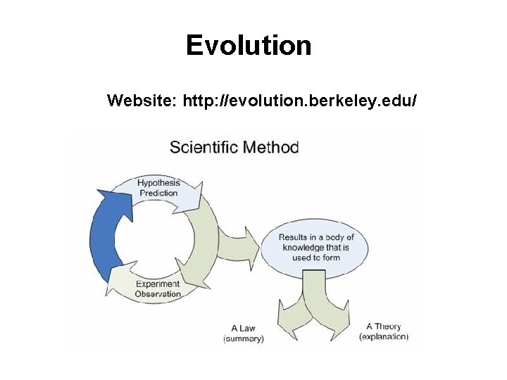 Evolution Website: http: //evolution. berkeley. edu/ 