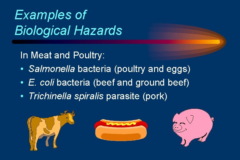 Examples of Biological Hazards In Meat and Poultry: • Salmonella bacteria (poultry and eggs)