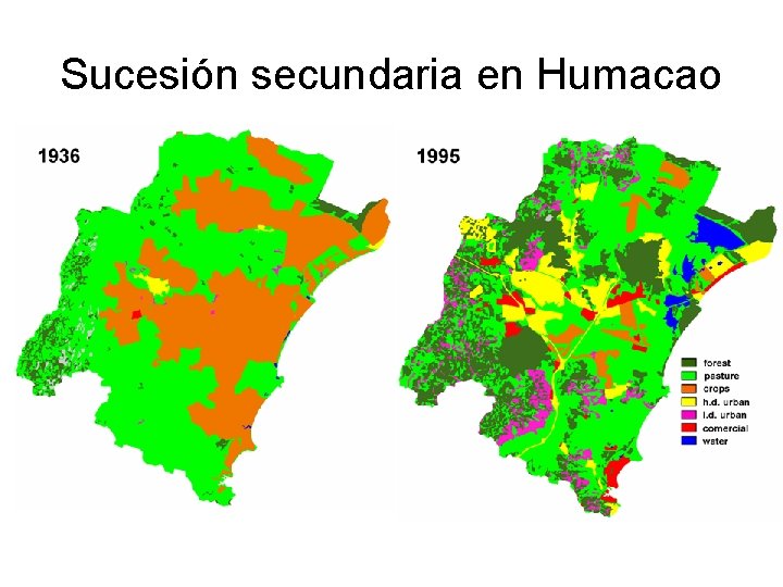 Sucesión secundaria en Humacao 