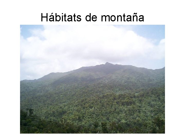 Hábitats de montaña 