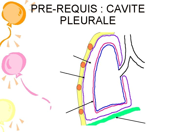 PRE-REQUIS : CAVITE PLEURALE 