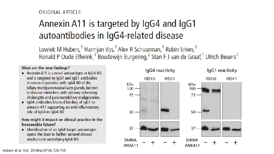 Hubers et al. Gut 2018 Apr; 67(4): 728 -735. 