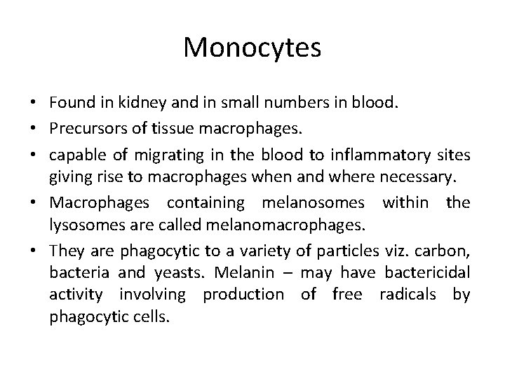 Monocytes • Found in kidney and in small numbers in blood. • Precursors of