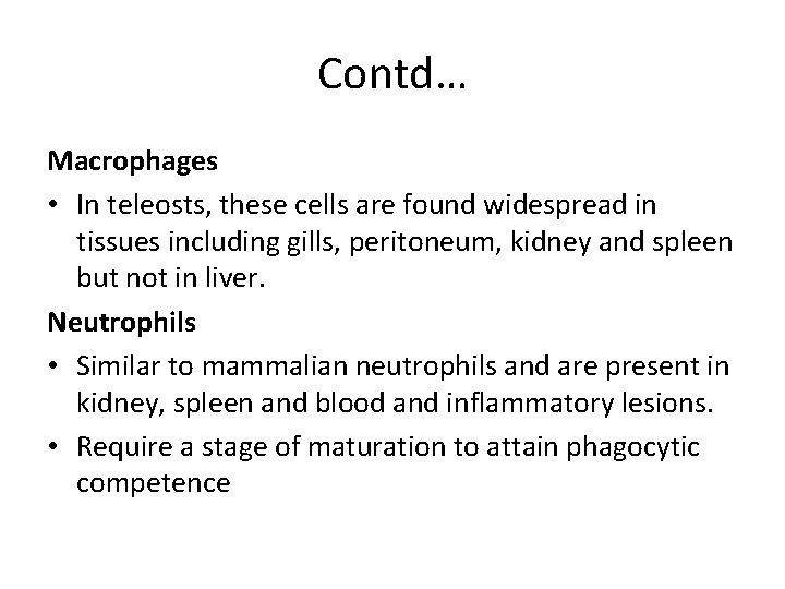 Contd… Macrophages • In teleosts, these cells are found widespread in tissues including gills,