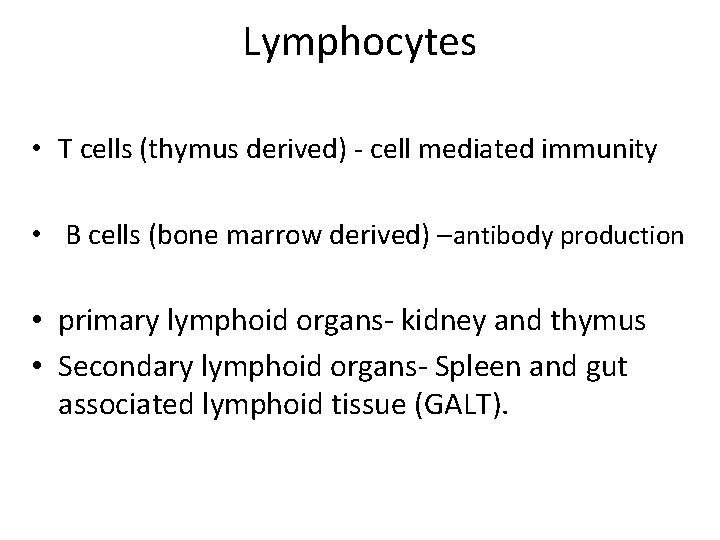 Lymphocytes • T cells (thymus derived) - cell mediated immunity • B cells (bone