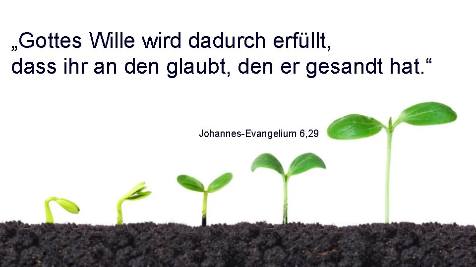 „Gottes Wille wird dadurch erfüllt, dass ihr an den glaubt, den er gesandt hat.