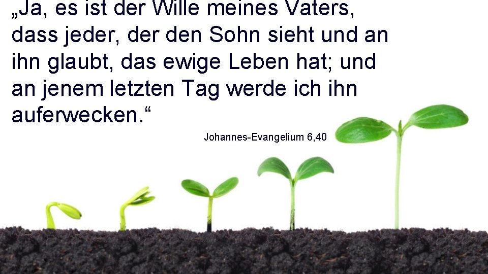 „Ja, es ist der Wille meines Vaters, dass jeder, der den Sohn sieht und