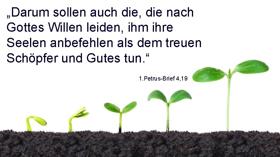 „Darum sollen auch die, die nach Gottes Willen leiden, ihm ihre Seelen anbefehlen als