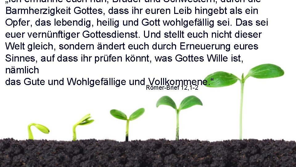 „Ich ermahne euch nun, Brüder und Schwestern, durch die Barmherzigkeit Gottes, dass ihr euren
