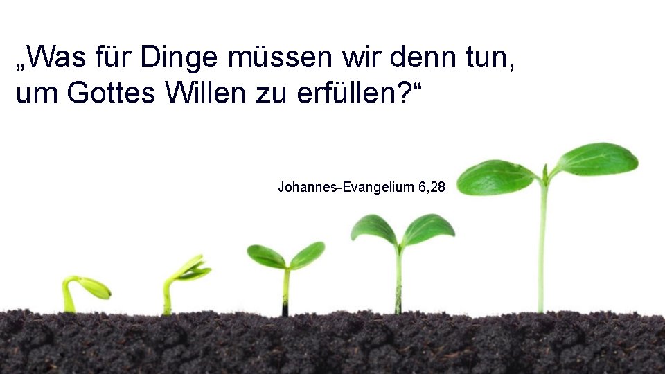 „Was für Dinge müssen wir denn tun, um Gottes Willen zu erfüllen? “ Johannes-Evangelium