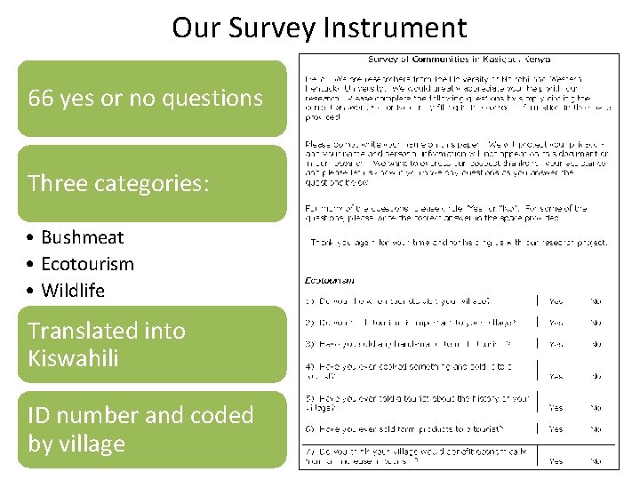 Our Survey Instrument 66 yes or no questions Three categories: • Bushmeat • Ecotourism