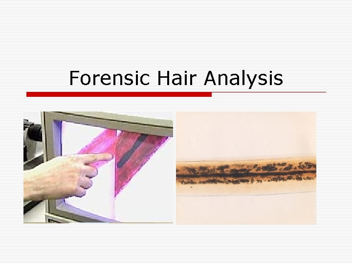 Forensic Hair Analysis 