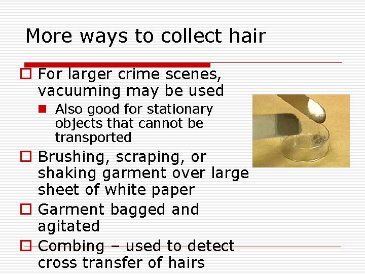 More ways to collect hair o For larger crime scenes, vacuuming may be used