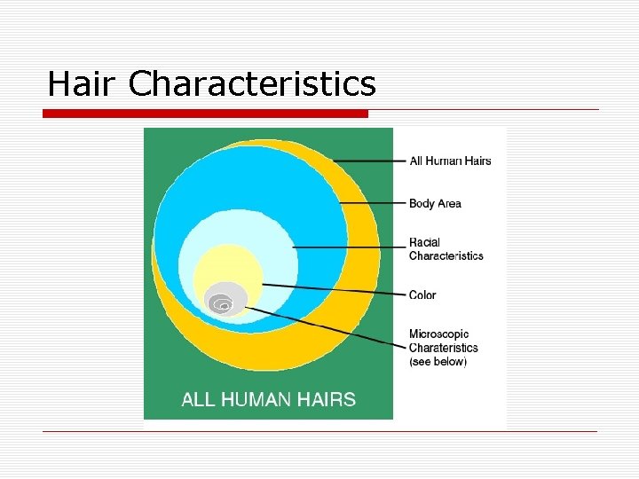 Hair Characteristics 