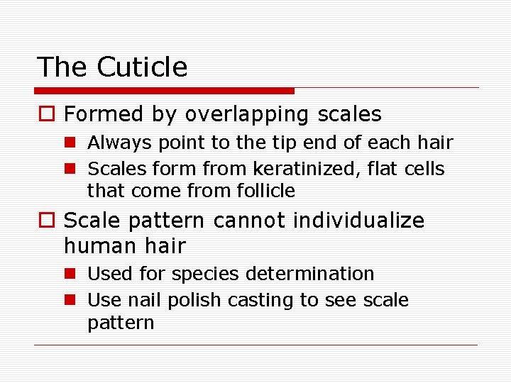 The Cuticle o Formed by overlapping scales n Always point to the tip end