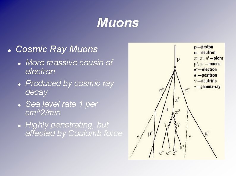 Muons Cosmic Ray Muons More massive cousin of electron Produced by cosmic ray decay
