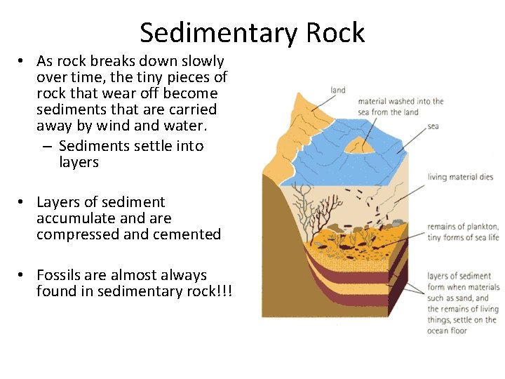 Sedimentary Rock • As rock breaks down slowly over time, the tiny pieces of