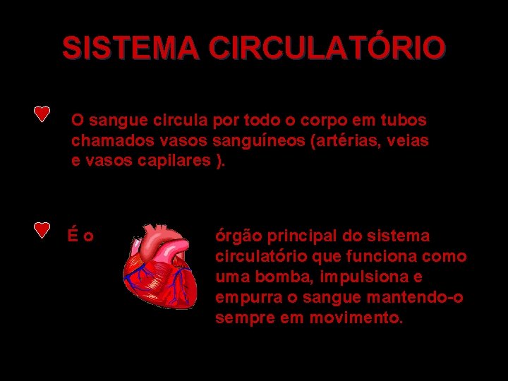 SISTEMA CIRCULATÓRIO O sangue circula por todo o corpo em tubos chamados vasos sanguíneos