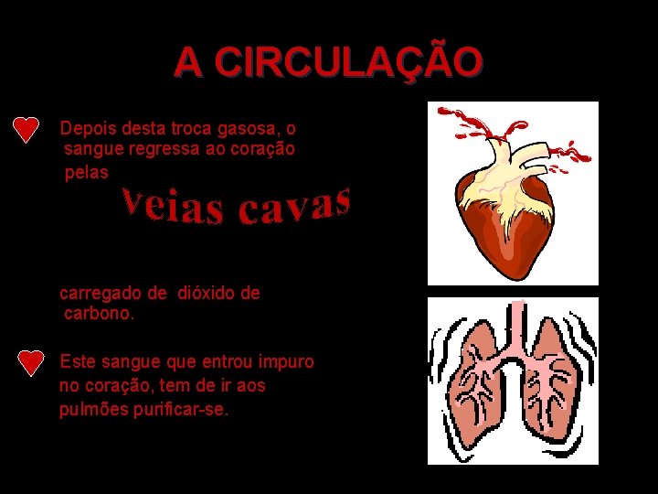 A CIRCULAÇÃO Depois desta troca gasosa, o sangue regressa ao coração pelas carregado de