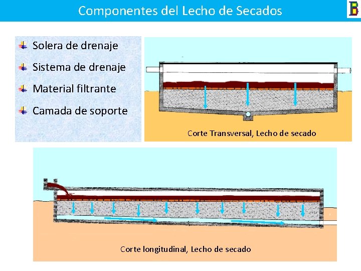 Componentes del Lecho de Secados Solera de drenaje Sistema de drenaje Material filtrante Camada