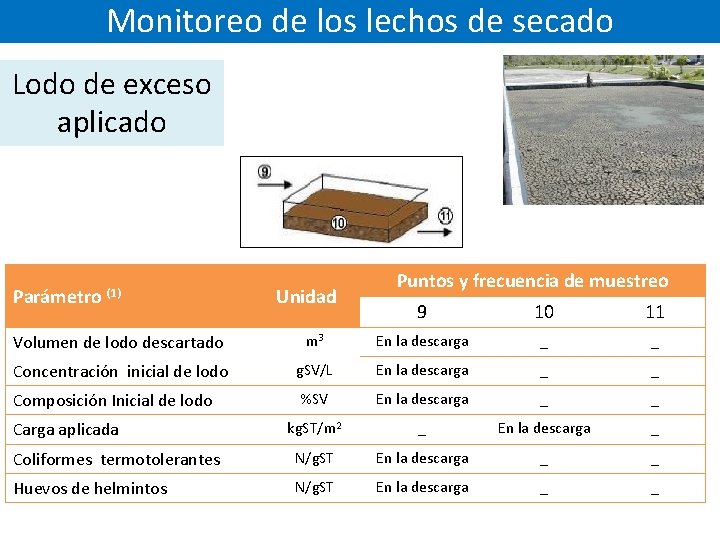 Monitoreo de los lechos de secado Lodo de exceso aplicado Parámetro (1) Unidad Puntos