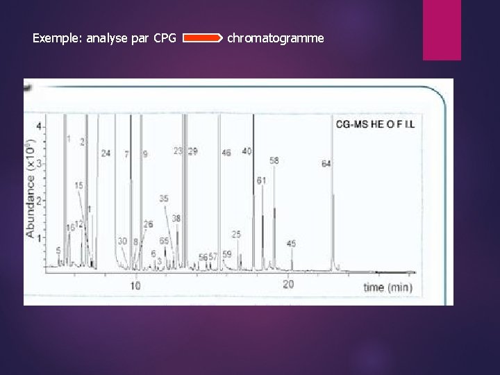 Exemple: analyse par CPG chromatogramme 
