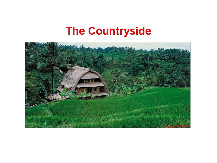 The Countryside 