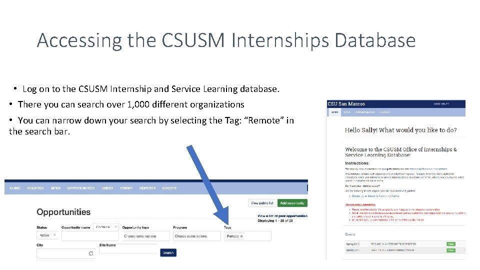 Accessing the CSUSM Internships Database • Log on to the CSUSM Internship and Service