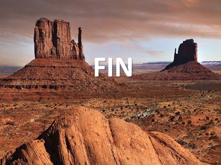 FIN 