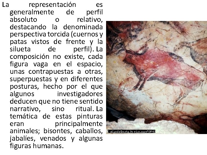 La representación es generalmente de perfil absoluto o relativo, destacando la denominada perspectiva torcida