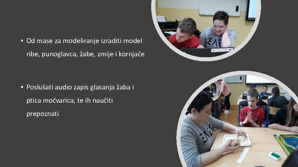  • Od mase za modeliranje izraditi model ribe, punoglavca, žabe, zmije i kornjače