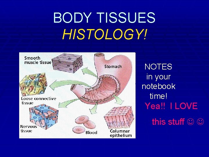 BODY TISSUES HISTOLOGY! NOTES in your notebook time! Yea!! I LOVE this stuff 