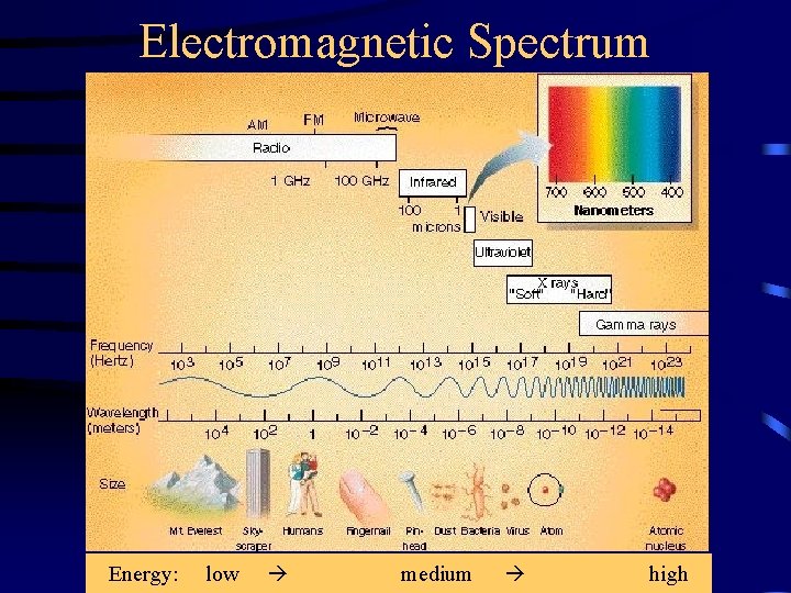 Electromagnetic Spectrum Energy: low medium high 