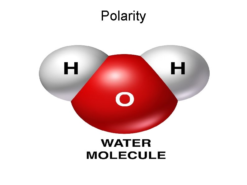 Polarity 