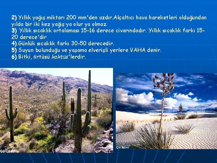 2) Yıllık yağış miktarı 200 mm'den azdır. Alçaltıcı hava hareketleri olduğundan yılda bir iki