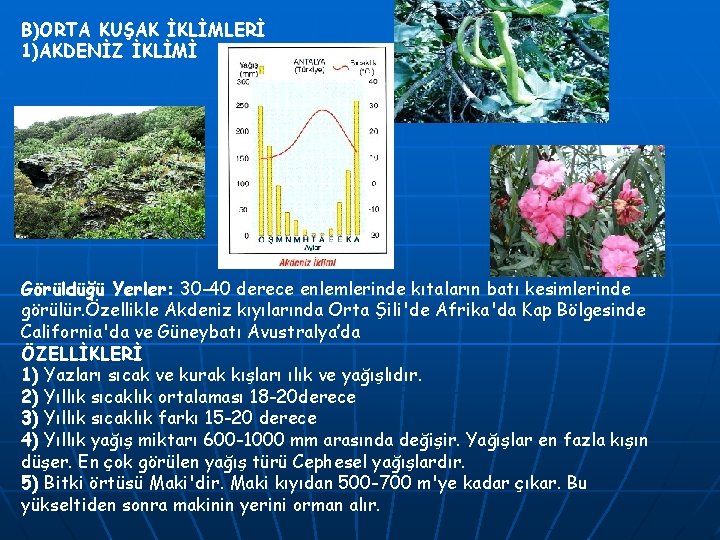 B)ORTA KUŞAK İKLİMLERİ 1)AKDENİZ İKLİMİ Görüldüğü Yerler: 30 -40 derece enlemlerinde kıtaların batı kesimlerinde