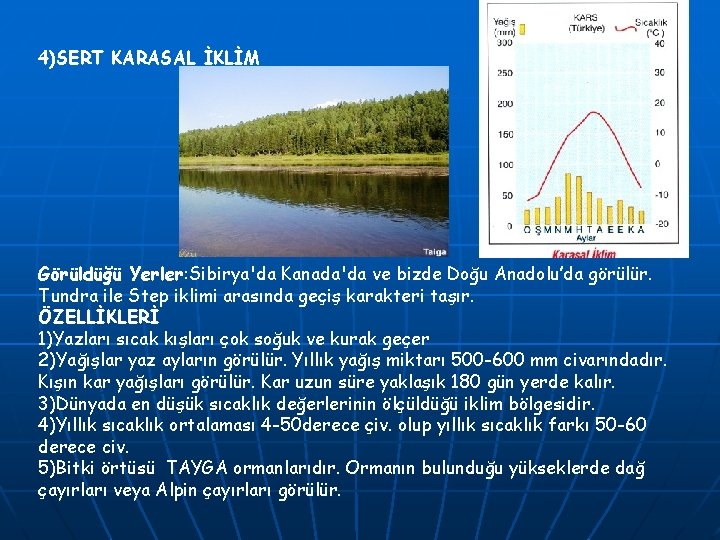 4)SERT KARASAL İKLİM Görüldüğü Yerler: Sibirya'da Kanada'da ve bizde Doğu Anadolu’da görülür. Tundra ile