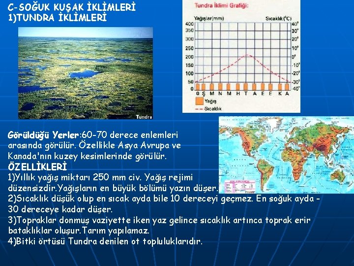 C-SOĞUK KUŞAK İKLİMLERİ 1)TUNDRA İKLİMLERİ Görüldüğü Yerler: 60 -70 derece enlemleri arasında görülür. Özellikle