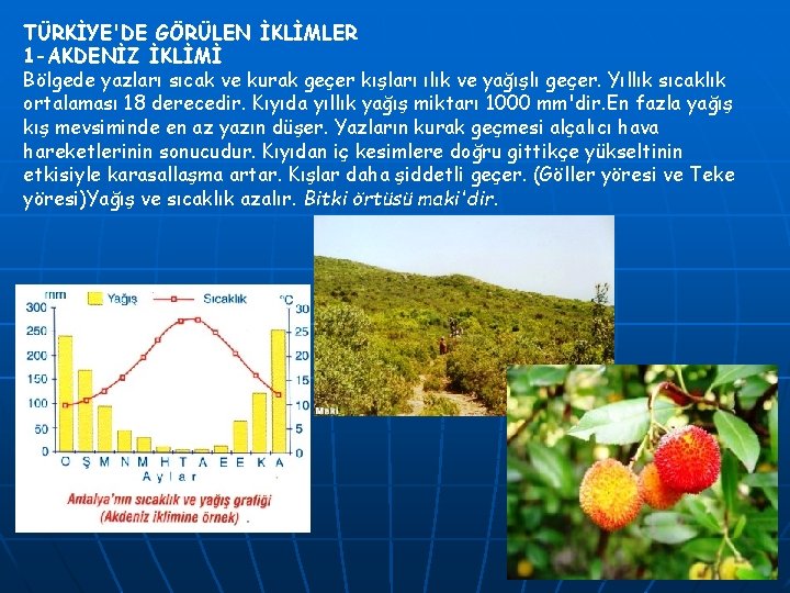 TÜRKİYE'DE GÖRÜLEN İKLİMLER 1 -AKDENİZ İKLİMİ Bölgede yazları sıcak ve kurak geçer kışları ılık
