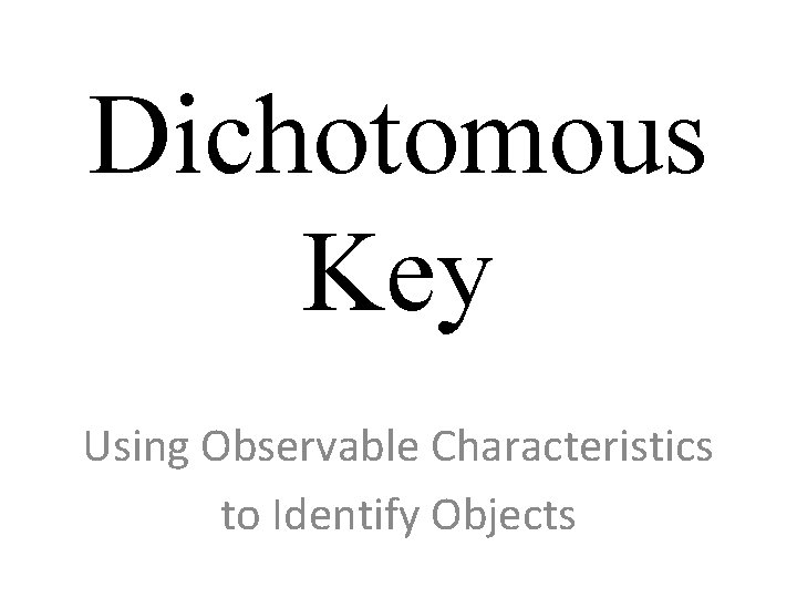 Dichotomous Key Using Observable Characteristics to Identify Objects 