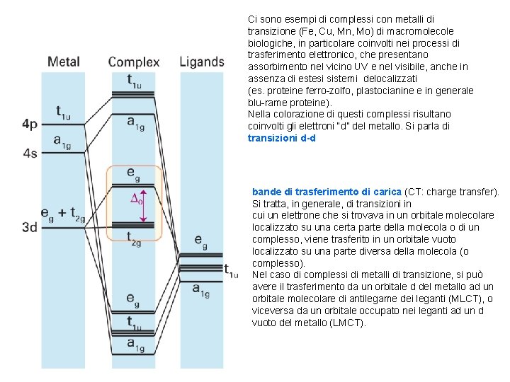 Ci sono esempi di complessi con metalli di transizione (Fe, Cu, Mn, Mo) di