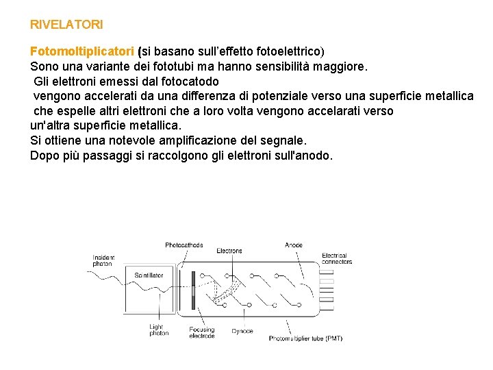 RIVELATORI Fotomoltiplicatori (si basano sull’effetto fotoelettrico) Sono una variante dei fototubi ma hanno sensibilità