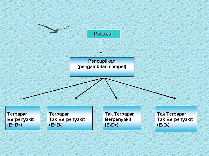 Populasi Pencuplikan (pengambilan sampel) Terpapar Berpenyakit (E+D+) Terpapar Tak Berpenyakit (E+D-) Tak Terpapar Berpenyakit Populasi Pencuplikan (pengambilan sampel) Terpapar Berpenyakit (E+D+) Terpapar Tak Berpenyakit (E+D-) Tak Terpapar Berpenyakit