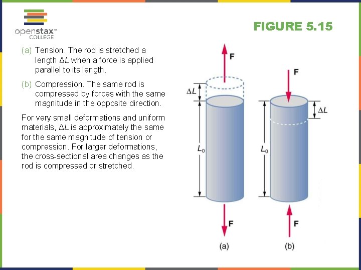 FIGURE 5. 15 (a) Tension. The rod is stretched a length ΔL when a