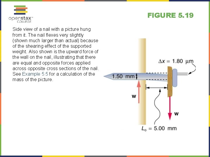 FIGURE 5. 19 Side view of a nail with a picture hung from it.