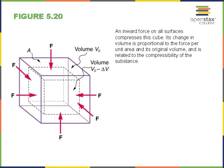 FIGURE 5. 20 An inward force on all surfaces compresses this cube. Its change